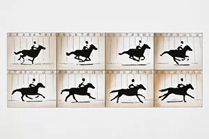 Image Sequence Collection: Photographic frames on two film strips depicting action sequence of man riding horse