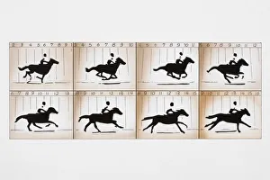 Sequences Collection: Photographic frames on two film strips depicting action sequence of man riding horse