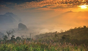 Images Dated 29th December 2011: Phulangka in Thailand