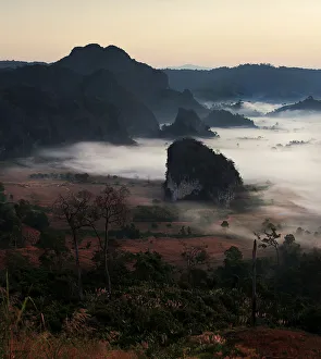 Images Dated 26th December 2010: Phulangka in Thailand