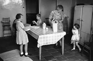 Picnic Preparations
