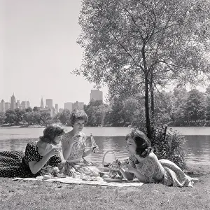 Artificial Lake Prints: Picnicking in Central Park