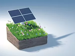 Piece of land with a solar panel and a flowering meadow, illustration