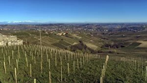 Images Dated 22nd November 2015: Piedmont in autumn