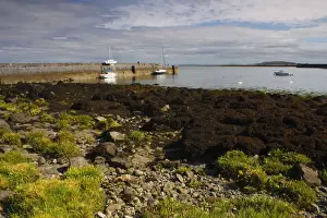 Pier And Boats In The Harbour