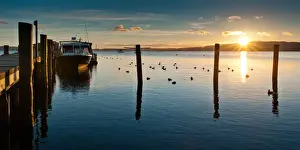 Rotorua Prints: Pier at lake Rotorua with sunrise