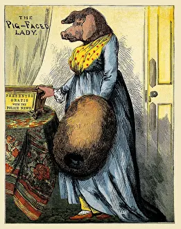 Manchester Prints: The pig-faced lady