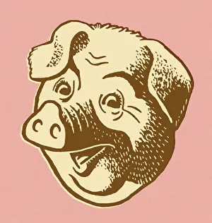 Pig Head on Pink Background