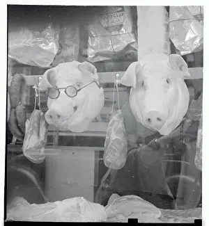Pork Prints: Pig Heads Hanging in Butcher Shop