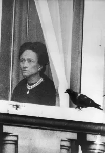 Pigeon Prints: Pigeon Perching by Duchess of Windsor at Palace