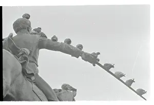 Pigeons atop Statue