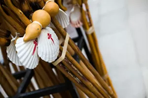 Pilgrim Collection: Pilgrimage walking sticks with a scallop shell