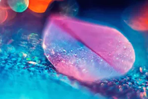 Modern Bird Feather Designs Gallery: Pink birds feather on blue bokeh backdrop. Abstract artistic macro photo