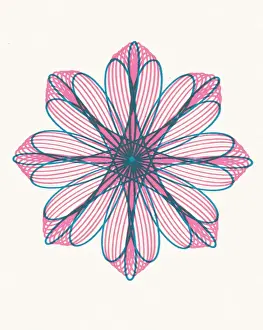 Pink and Blue Flower Shape Line Drawing