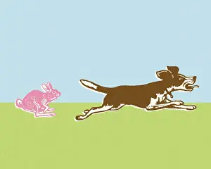 Pink Bunny Chasing Dog