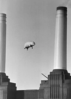 Heritage Images Gallery: Pink Floyds Inflatable Pig Battersea Power Station