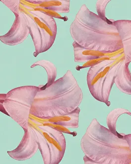 Four Objects Prints: Pink Lilies