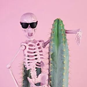 Images Dated 31st October 2017: Pink skeleton with cactus