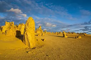 Western Australia Prints: The Pinnacles limestone formations, Nambung National Park, Western Australia