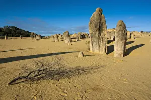The Pinnacles limestone formations, Nambung National Park, Western Australia