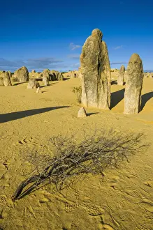 Western Australia Prints: The Pinnacles limestone formations, Nambung National Park, Western Australia