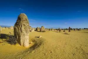 Western Australia Prints: The Pinnacles limestone formations, Nambung National Park, Western Australia