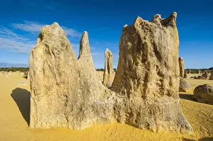 Western Australia Prints: The Pinnacles limestone formations, Nambung National Park, Western Australia