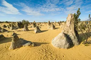 Western Australia Prints: The Pinnacles limestone formations, Nambung National Park, Western Australia
