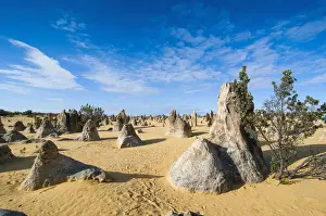 Western Australia Prints: The Pinnacles limestone formations, Nambung National Park, Western Australia
