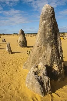 Images Dated 12th October 2011: The Pinnacles limestone formations, Nambung National Park, Western Australia