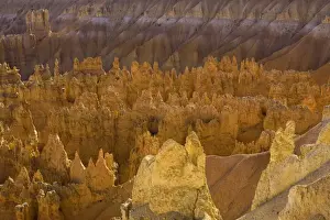 Sandstone Prints: pinnacles from Sunset Point, Bryce Canyon N. P