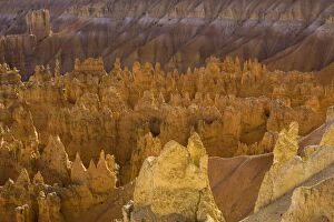 Pinnacle Rock Formation Collection: pinnacles from Sunset Point, Bryce Canyon N.P