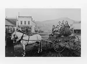 Pioneer Life