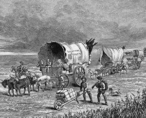 Carriage Collection: Pioneers Crossing The Plains