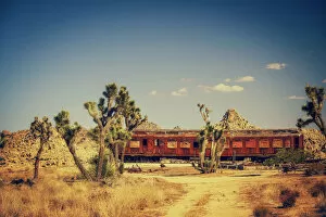Images Dated 11th September 2014: Pioneertown