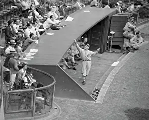 Dugout Prints: Pirates Manager Frankie Frisch in Dugout