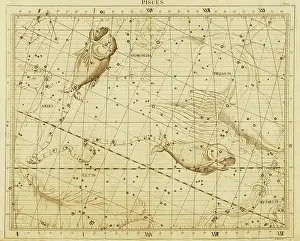 Astrology Prints: Pisces
