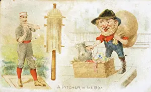 Arc0005042 Prints: Pitcher in Box Terrors