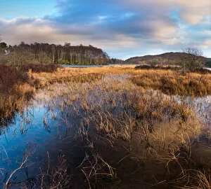 Matt Anderson Photography Collection: Pitlochry Mountain Landscape #3