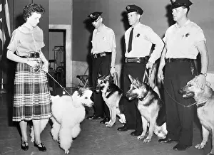 Obedience Prints: Pittsburgh City's Canine Corps
