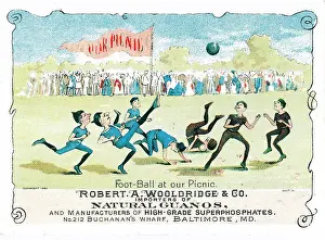 Pixie Picnic Baseball