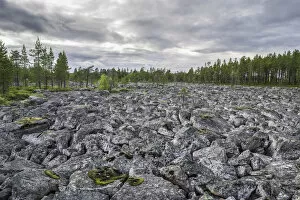 Plain covered in rocks, Jokkmokk, Norrbotten County, Sweden