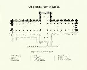 Images Dated 21st July 2017: Plan, Benedictine Abbey of Whitby, North Yorkshire, 19th Century