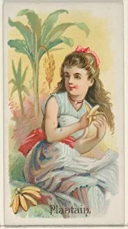 Plantain Trade Card 1891