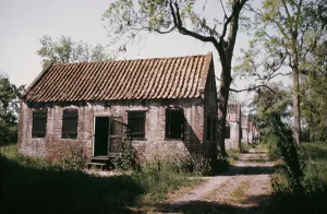 1800s Prints: Plantation Slave Quarters