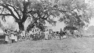 Plantation Workers