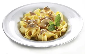 Nourishment Collection: Plate of fettuccine ai funghi, pasta with mushrooms