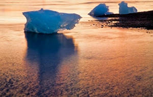 Images Dated 11th August 2011: Play of light