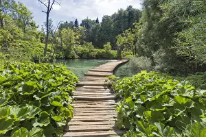 Plitvice Lakes National Park, Croatia