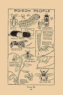 Medicinal Prints: Poison People